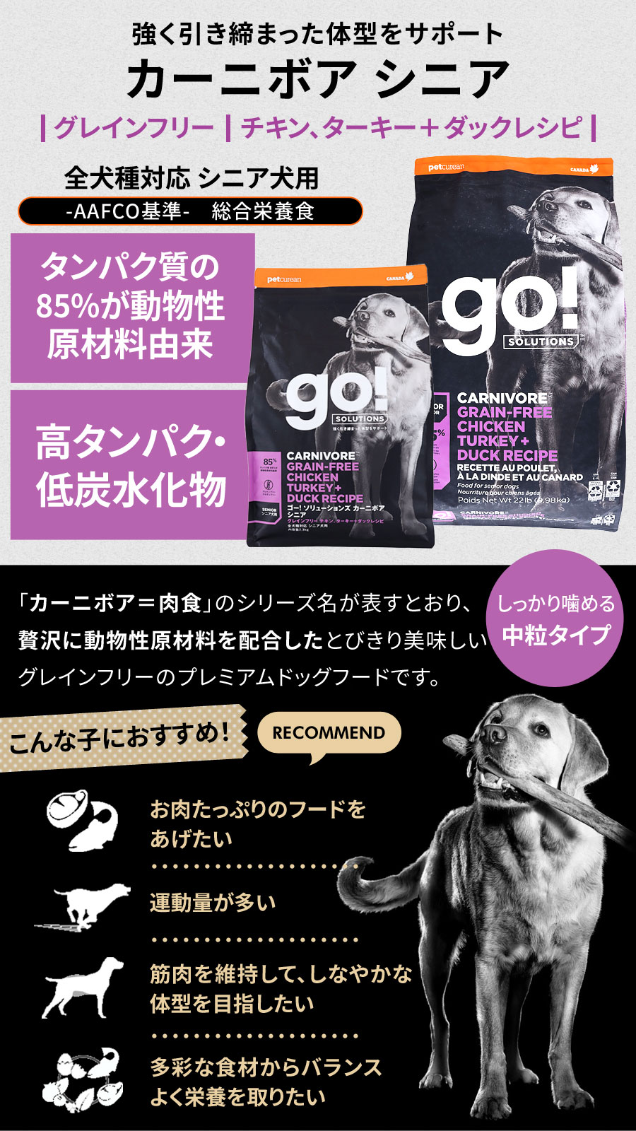 GO! ゴー ソリューションズ カーニボア シニア チキン、ターキー＋ダック 2.3kg +わんわんウエットてぃっしゅ 1個 pet-alpha-10041023 ペットアルファー楽天市場店 サンプル画像3