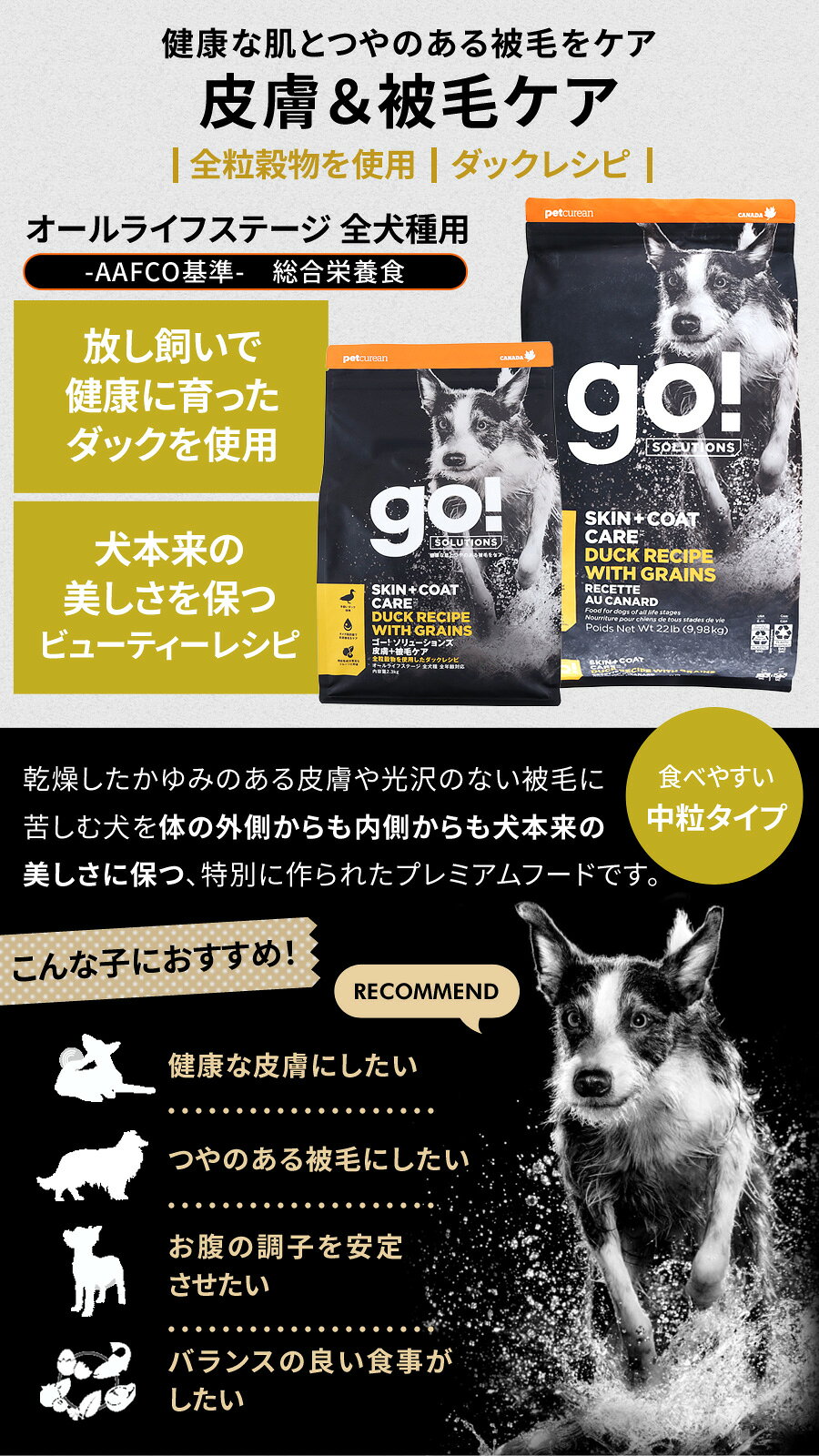 GO!ゴー 皮膚+被毛ケア 全粒穀物 ダック 9.98kg＋国産無添加さかなのおやつ 犬 ドッグ フード ドック 皮膚 被毛 鴨 オメガ脂肪酸 消化 お腹 乳酸菌 子犬 幼犬 パピー 成犬 アダルト 高齢犬 シニア pet-alpha-10038691 ペットアルファー楽天市場店 サンプル画像3