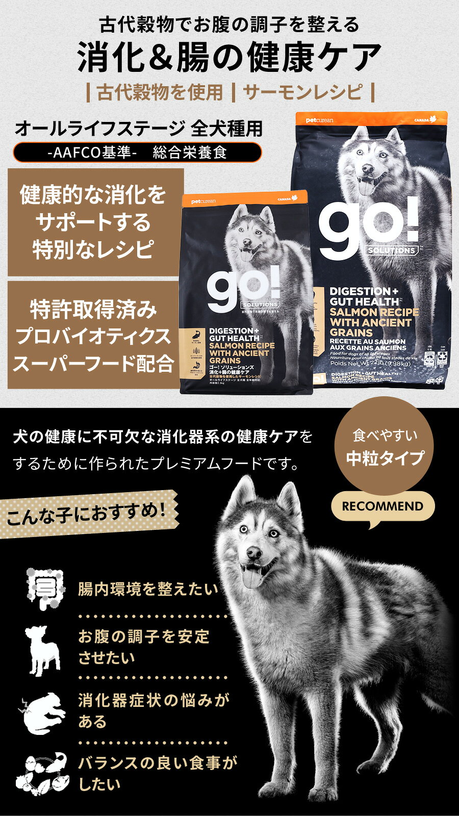 GO!ゴー 消化+腸の健康ケア 古代穀物 サーモン 9.98kg＋国産鹿肉ジャーキー20g 犬 ドッグ フード ドック スーパーフード 食物繊維 オメガ脂肪酸 消化器 お腹 酵母 乳酸菌 子犬 幼犬 パピー 成犬 アダルト 高齢犬 シニア pet-alpha-10038708 ペットアルファー楽天市場店 サンプル画像3