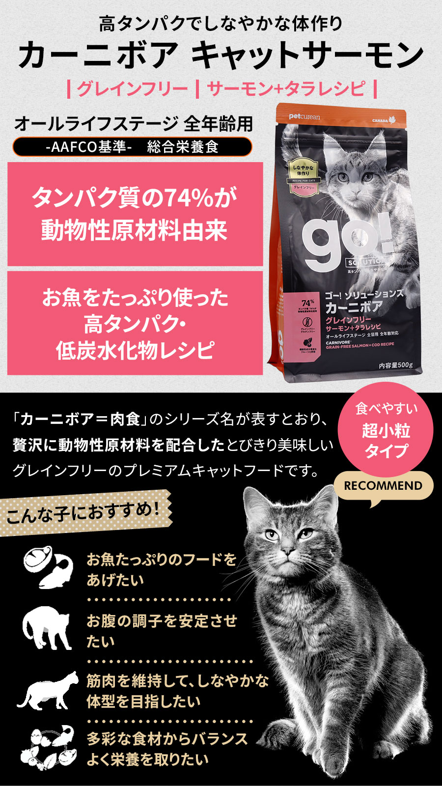 サンプル画像3