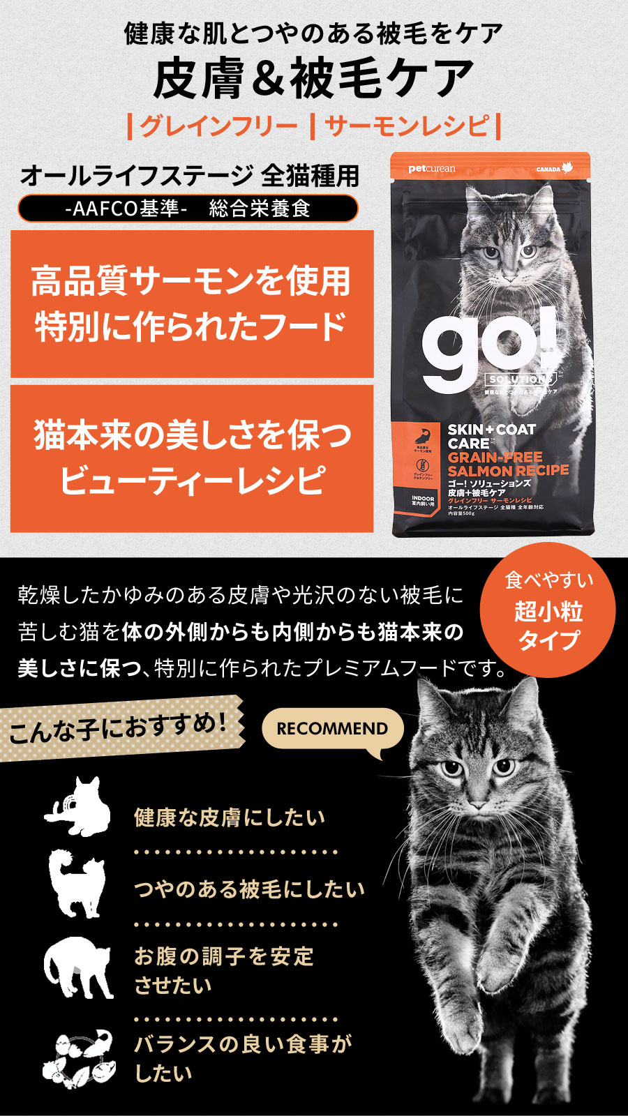 【順次パッケージ変更】GO!ゴー キャット 皮膚+被毛ケア サーモン 500g×3袋＋ph13.2強アルカリ電解水100ml 猫 フード グレインフリー 穀物不使用 皮膚 被毛 オメガ脂肪酸 消化 お腹 下部尿路 乳酸菌 子猫 子ねこ キトン 成猫 アダルト 高齢猫 シニア