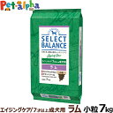 セレクトバランス エイジングケア ラム 小粒7kg 7才以上 成犬 シニア 高齢犬 犬 ドッグフード 羊 米 玄米 コエンザイムQ10 オメガ6 オメガ3 ドライ