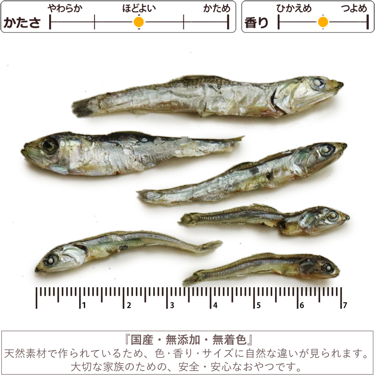 犬 猫 おやつ 無添加 国産 がんこおやじのおやつ亭 国産 カタクチイワシ 40g ペッ...