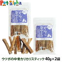 犬 猫 おやつ 無添加 国産 がんこおやじのおやつ亭 ウツボ中骨カリカリスティック 40g×2袋セット 追跡可能メール便のみ送料無料（同梱不可）ウツボ 魚 デンタルケア カルシウム