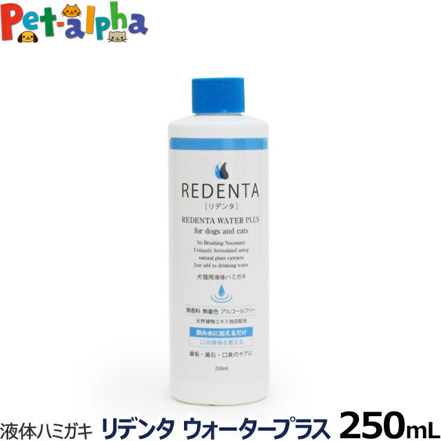 ǥ󥿥ץ饹 ReDenta ǭѱΥϥߥ 250ml(ǥ󥿥륱 ɥå å Ϥߤ λ᤭    ǭ ڥå  )