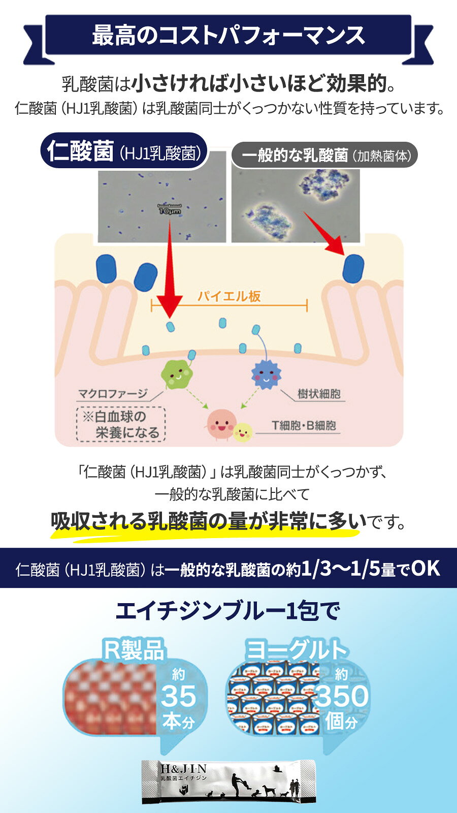 Premium乳酸菌 H＆JIN エイチジンブルー 動物用（30包入り）乳酸菌 HJ1乳酸菌 動物用乳酸菌食品 犬 猫 サプリメント サプリ ドッグ キャット pet-alpha-10024772 ペットアルファー楽天市場店 サンプル画像3