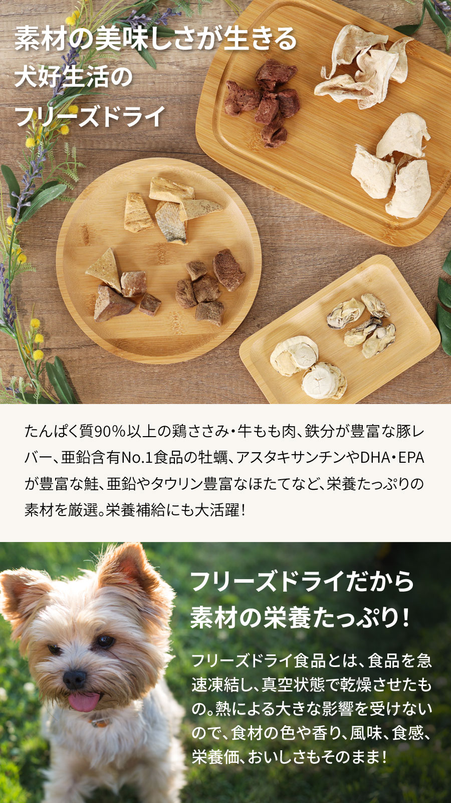 犬 猫 無添加 国産 犬好生活 がんこなフリーズドライ 広島県産牡蠣 25g 乾燥 ミネラル おやつ トッピング サプリ 栄養補助 かき カキ オイスター ドッグ ドック キャット ペット pet-alpha-10039797 ペットアルファー楽天市場店 サンプル画像3