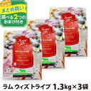 サンデーペッツ ジェントルベイク グレインフリー ラム ウイズ トライプ 1.3kg×3個セット＋選べる2つのおまけ付き 犬 ドッグフード ドックフード
