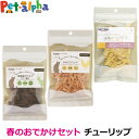 ナチュラルハーベスト 春のおでかけセット おやつセット【チューリップ】 数量限定 犬 おやつ クリスプ クランチ ビスケット 鹿 ベニソン 鶏 チキン かぼちゃ...