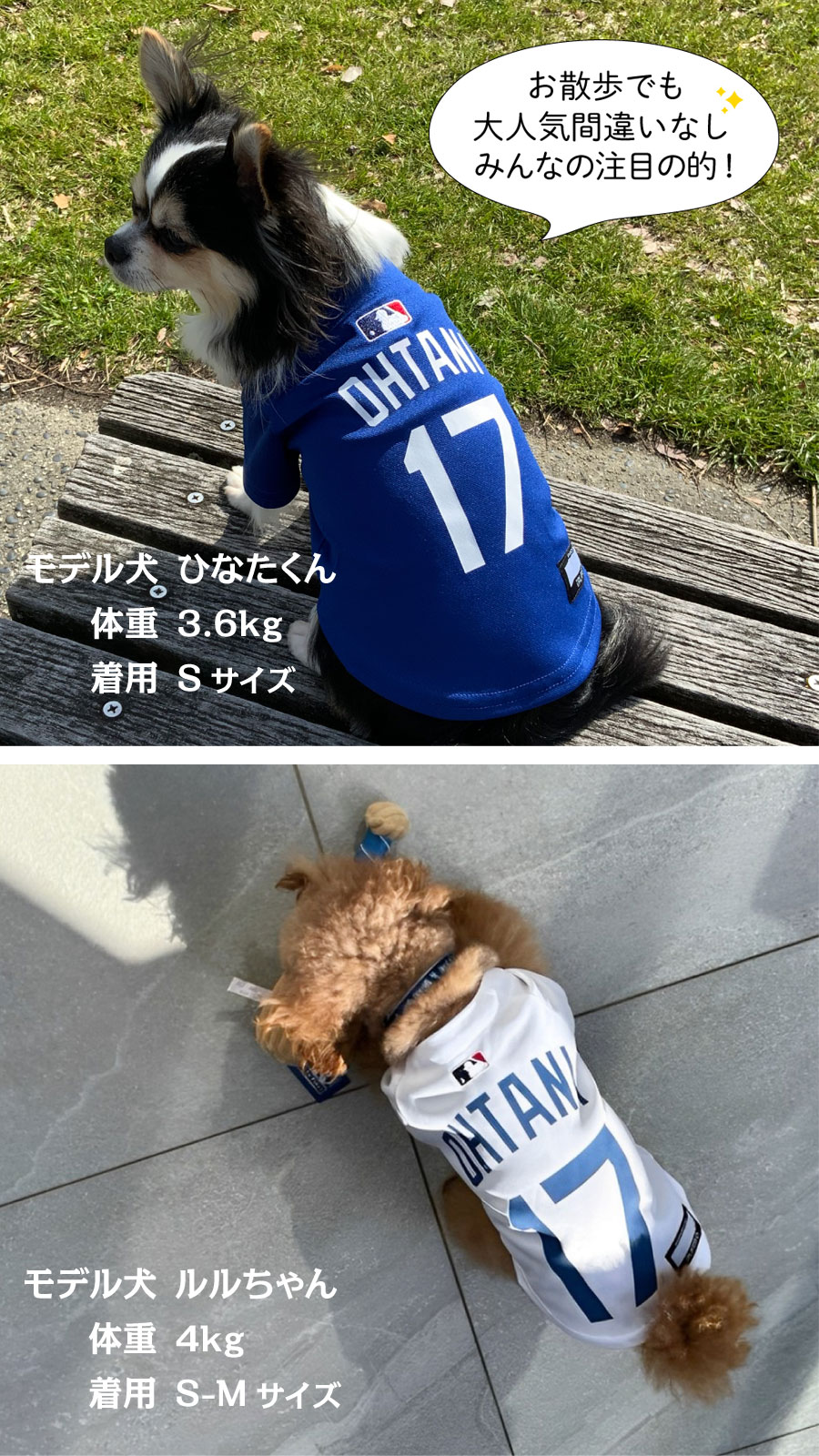MLB���� �����󥼥륹 �ɥ��㡼�� ��ë��ʿ�����ǥ� ��˥ե����� ���㡼�� XS��3XL������ ��XS/S/S-M�����������ײ�ǽ�᡼���ؤΤ�����̵���ʻ��ֻ��ꡦƱ���Բġˡ� �� �ɥå� �ɥå������� �ڥå� ��� LAD �ɷ� Los Angeles Dodgers