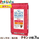 セレクトバランス パピー チキン 小粒 子犬・母犬用7kg＋おやつ付き 犬 ドッグフード 子犬 母犬ドライ 仔犬 授乳期 生後1才未満 妊娠 ミルクプロテイン 発育サポート品 ドック 小型犬 中型犬