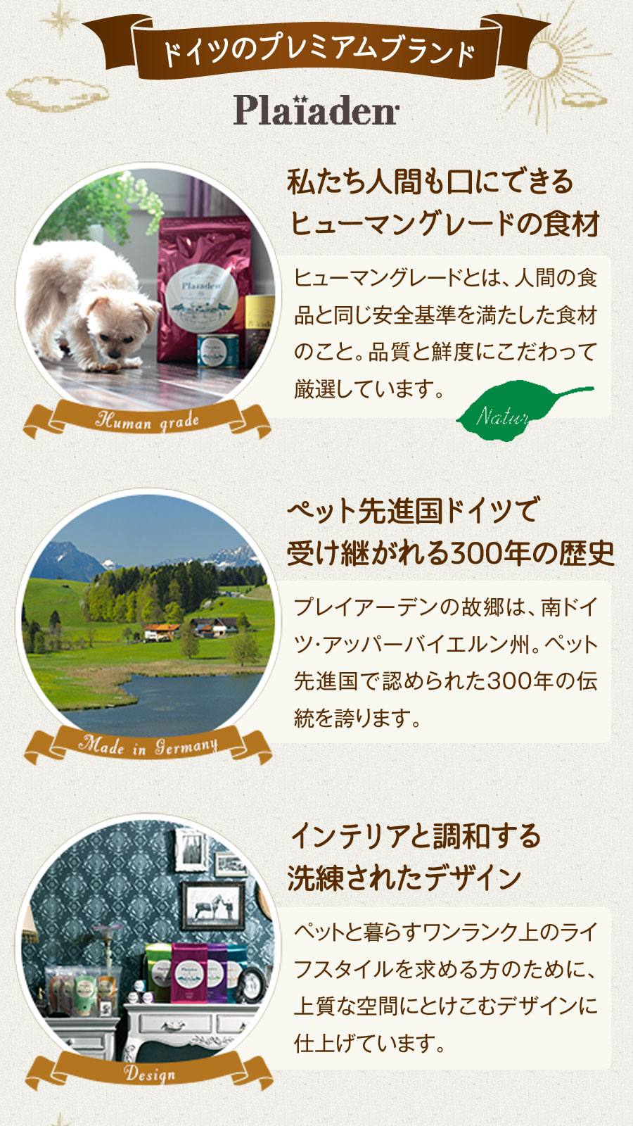 プレイアーデン プレミアムドライフード ロイヤルバランス ラージサイズ（大粒） 3kg 鶏 チキン ドッグ 犬 ドック フード 幼犬 パピー 子犬 成犬 アダルト 高齢犬 シニア 老犬 pet-alpha-10029096 ペットアルファー楽天市場店 サンプル画像3