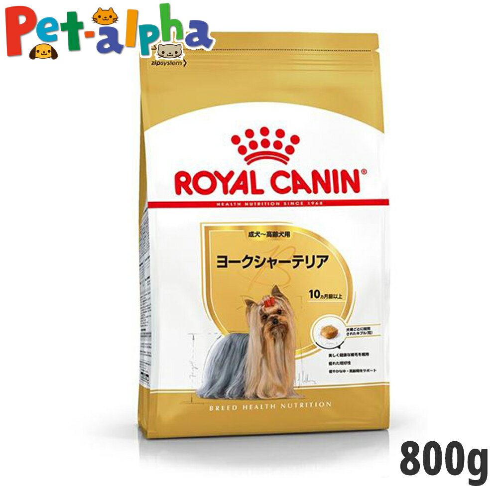 ロイヤルカナン ヨークシャーテリア 成犬～高齢犬用 800g(正規品) ドライフード ドッグフード 犬