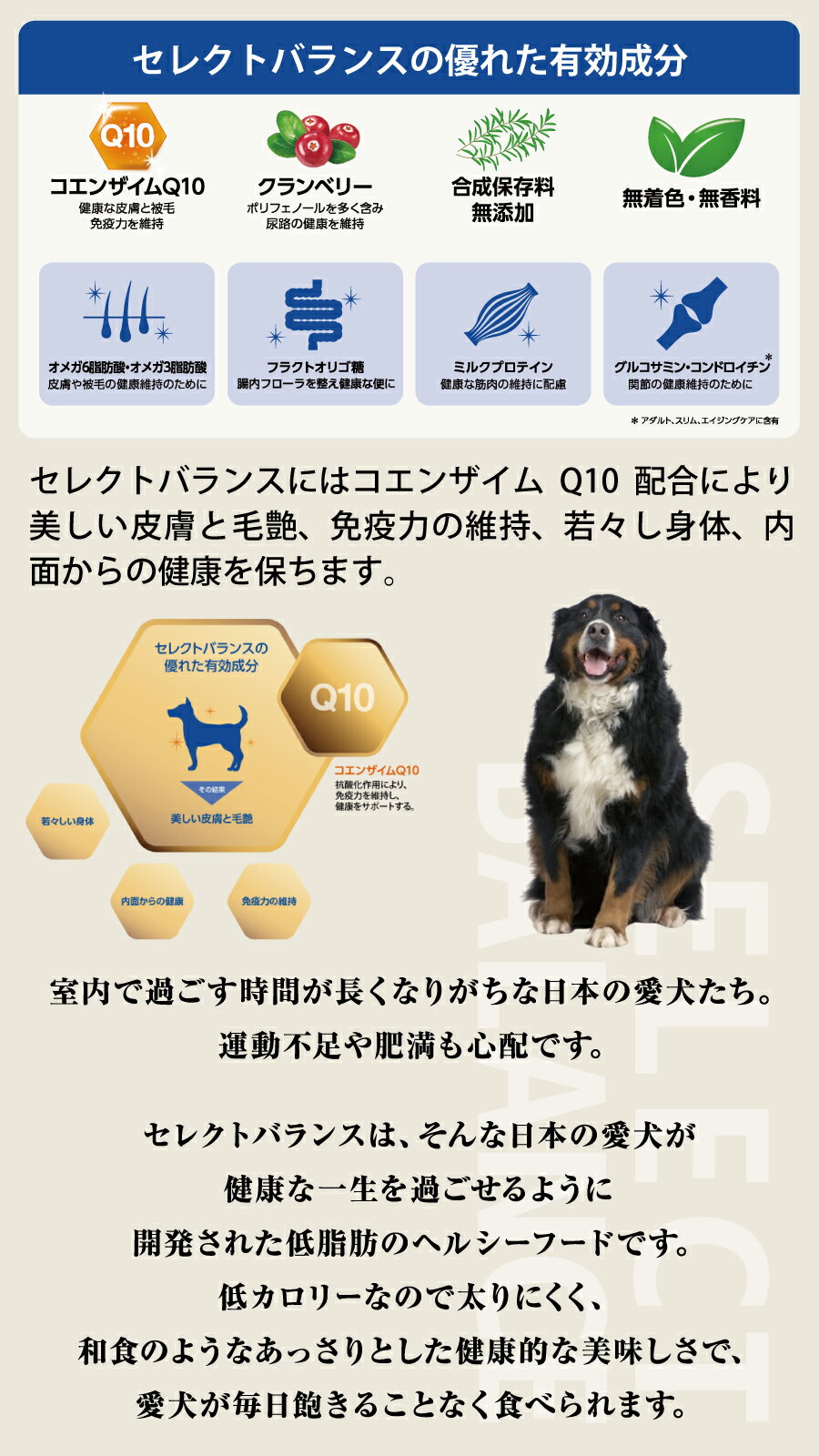 セレクトバランス エイジングケア ラム 小粒 7kg×2個＋選べるおまけ付き 7才以上 成犬 シニア 高齢犬 犬 ドッグフード羊 米 玄米 コエンザイムQ10 オメガ6オメガ3 ミルクプロテイン ドライ品 ドック