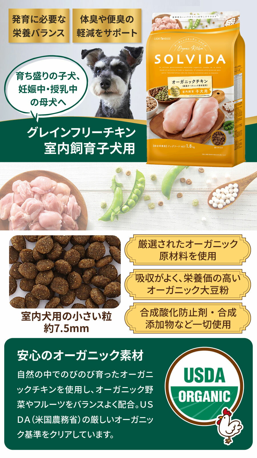 サンプル画像3