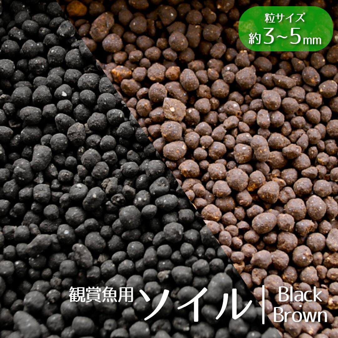  ᥽ ֥å / ֥饦 1kg / 10kg 캽 γ35mm γ    Ѿ޵  ...