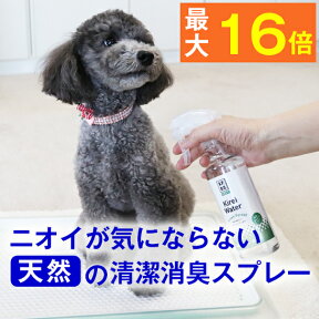 ◆天然100％◆ ペット に 直接 スプレー して ニオイ を解決★ キレイウォーター グリーンフォレスト 300ml ( 犬 猫 うさぎ ハムスター 動物 ホテル 部屋 トイレ 壁紙 旅行 服 靴 ゴミ箱 介護 カーペット 枕 消臭剤 消臭 うんち おしっこ 匂い 臭い )