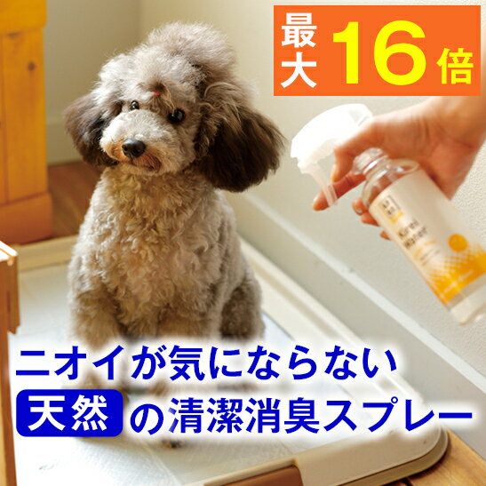 ★天然100％ニオイ 解決★ペット に 直接 スプレー できる！ キレイウォーター シトラスミント 300ml ( 犬 猫 モモンガ フェレット 動物 ホテル 部屋 トイレ 壁紙 旅行 服 靴 ゴミ箱 介護 カーペット 枕 消臭剤 消臭 うんち おしっこ 匂い 臭い )