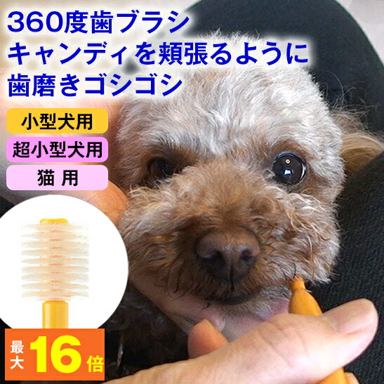 【送料無料：全国一律】★歯磨き対策★ ペット用 360度 歯ブラシ「シグワン」小型犬用、超小型犬用、猫用 ( 口の臭い 予防 歯磨き 歯みがき ハミガキ 歯垢 歯石 デンタルケア マッサージ 口 よだれ くさい 臭い 磨きやすい 使いやすい 嫌がる 噛む チワワ )