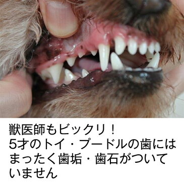 飲み水に入れるだけ　マウスクリーナー473ml【あす楽】 亜鉛、ビタミンBが細菌のヌメリを取ることで歯垢の沈着を抑えお口と息がスッキリ　歯垢は48時間で歯石になります。小型犬や猫の多頭飼い、中型犬、大型犬のデンタルケアに！お得なサイズです ( 歯磨き 歯石取り )