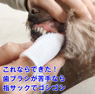 【犬 猫 用】 指サックの歯ブラシ「オクチブラシ」（2枚入り）これなら続けられますデンタルケア ( 歯磨き ペット 歯石除去 歯石取り 歯垢 歯ブラシ 犬の歯磨き 犬歯磨き 口臭 歯周病 予防 対策 液体歯磨き マウスクリーナー ダックス トイプードル チワワ ポメラニアン )