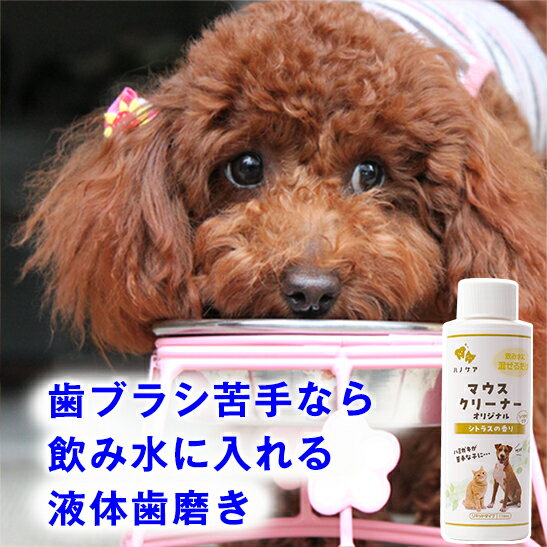 ◆100円クーポン・本日限定◆ 【送料無料:関東〜関西のみ】犬 猫 液体歯磨き マウスクリーナー 118ml 歯ブラシが苦手なら飲み水に入れて デンタル ケア ...