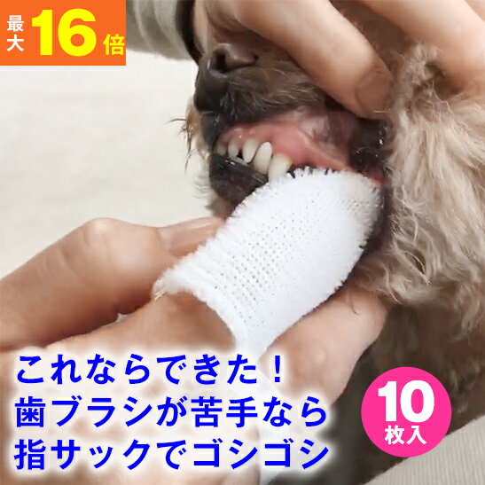 【高評価レビュー】オクチブラシ 10枚入り ( 犬 猫 用 ) デンタルケア 歯ブラシ 歯磨き 口の臭い 予防 対策 ペット 歯ブラシ 指 指サック 指歯ブラシ ペット口腔ケア 犬猫用歯磨き クリーニング 口腔ケア 歯石除去 歯石取り 歯垢 歯周病 ソフト 洗いやすい シンプルのサムネイル