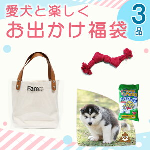 ★55%OFF★8,445円相当⇒3,820円♪ 愛犬と楽しくお出かけ福袋　3商品セット（ 散歩 お出かけ デート 旅行 犬同伴 ホテル カフェ cafe アウトドア よそ行き ドライブ トートバッグ コットン fam おもちゃ オモチャ ロープ 紐 歯磨き ハミガキ ウンチ処理 袋 フン ）