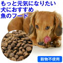 ★ペットの健康を考えたフード★ フィッシュ4 犬 オーシャンホワイトフィッシュ(1.5kg、3kg、6kg、12kg) <穀物不使用> (グレインフリー グルテ...