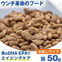 【お試し 50g】ウンチ革命のフード★獣医師推奨★ グリーンフィッシュ 猫 ドライフード 50g 魚のEPA、DHAで毛づやアップ！ 【全年齢対応】【無添加】( 魚 ネコ ねこ 餌 エサ えさ ごはん 子猫 成猫 シニア 高齢猫 アレルギー スコティッシュ ラグドール )