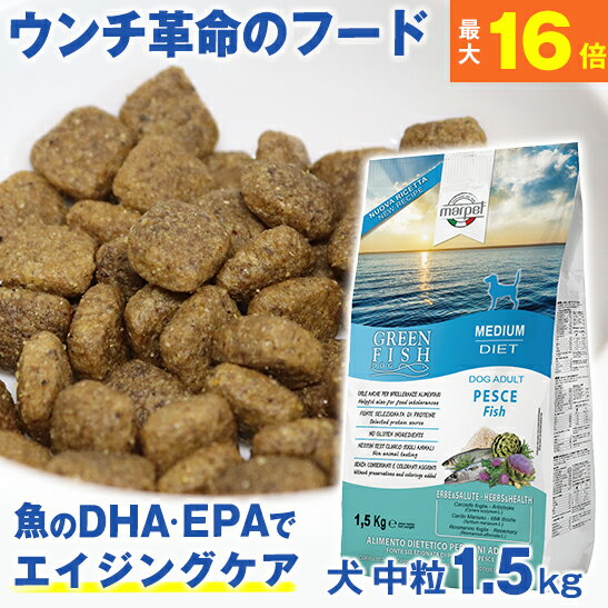 ★ウンチ革命のフード★獣医師推奨★ グリーンフィッシュ 犬 中粒1.5kg 魚のEPA、DHAで賢く！認知機能維持！ドライフード ( 犬のえさ 餌 エサ えさ 成犬 シニア 高齢犬 目やに 目ヤニ 涙やけ 涙ヤケ アレルギー )