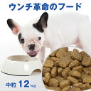 獣医師推奨★体重管理 ダイエット★ウンチ革命のフード★グリーンフィッシュ 犬 中粒12kg 魚のEPA、DHAで賢く!認知機能維持!【無添加】ドライフード ( 犬のえさ 餌 エサ えさ 成犬 シニア 高齢犬 アレルギー 中型 大型 コーギー 柴犬 )