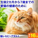 ★健康を考えたフード★ ホリスティックレセピー 成猫用 4.8kg (400gx12)(生後2ヶ月～7歳まで)チキン ライス ( ネコ ねこ キャットフード えさ 餌 エサ ごはん ご飯 子猫 成猫 シニア 尿結石 尿路 尿 毛玉 ヘアボール )