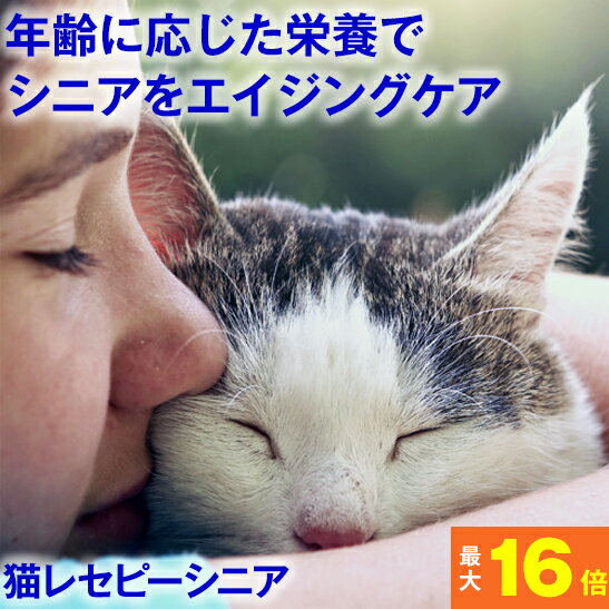 ★健康を考えたフード★ ホリスティックレセピー 猫シニア 1.6kg (7歳から) チキン&ライス( ネコ ねこ キャットフード えさ 餌 エサ ごはん ご飯 シニア 高齢 尿結石 尿路 尿 毛玉 ヘアボール 関節 )