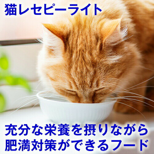 ▼ストックが無くなる前に★スピード配送▼健康を考えたフード★ ホリスティックレセピー 猫ライト 1.6kg (体重管理) チキン&ライス ( ダイエット ねこ キャットフード えさ 餌 エサ ごはん ご飯 子猫 成猫 シニア 高齢 尿結石 尿路 尿 毛玉 ヘアボール 肥満 )