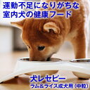 ★期間限定 25%OFF★健康を考えたフード★《正規品》 ホリスティックレセピー 成犬用 ラム&ライス(中粒)2.4kg ドッグフード アレルギー 小型犬 中型...