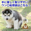 ペット マナー袋 ウンチ処理 ペット用 散歩 ポイ太くん (20枚、100枚、200枚) 散歩 うんち袋 臭わない ペット用 マナー袋 キャッチ 犬 イヌ おで...