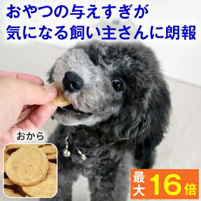 ★愛犬の笑顔を見たいなら♪自然派おやつ★ チップストーリー おから ( 犬 おやつ 無添加 国産 ささみ 低カロリー 低脂肪 そして 高タンパク 鶏 良質 犬のおやつ 犬用品 チップ 噛む 硬い パピー シニア 子犬 成犬 老犬 高齢 )