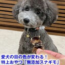 完全無添加 国産 犬 おやつ スナギモ 45g すなぎも 砂肝 ドッグフード トッピング ギフト プレゼント オヤツ 小型犬 超小型犬 無添加 無着色 自然食品...