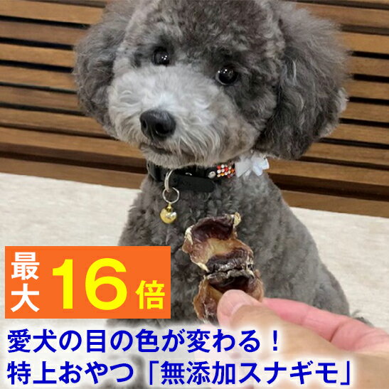 ★愛犬の目の色が変わるオヤツ★無添加 スナギモ 45g【 国産 】(鶏 砂肝 すなぎも 良質 犬のおやつ 犬用品 鶏 噛む パピー 子犬 成犬 小型犬 トイプードル ダックス ポメラニアン )