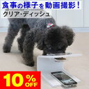 ★10%OFF★スーパーセール限定★ポイント10倍還元中★犬 猫 用 食器 動画撮影できる クリア・ディッシュ S、L おしゃれ ペット フードボウル 小型犬用 ガラス ペット用食器 犬 猫 餌入れ エサ 餌 えさ 透明 可愛い 平置き 斜め置き 水飲み 水入れ 老犬 食欲不振 食洗