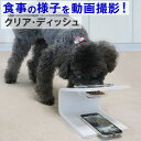 ★動画撮影★ クリア・ディッシュ S、L おしゃれ ペット フードボウル 小型犬用 ガラス ペット用食器 犬 猫 餌入れ エサ 餌 えさ 透明 可愛い 平置き ...