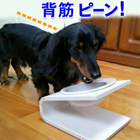 【犬 猫 食器台】傾斜のある食器台（Sサイズ）（ 犬用 猫用 食器台 フードボウルスタンド 食器スタンド スタンド テーブル 食器 餌入れ 老犬 老猫 シニア 高齢犬 高齢猫 首 腰 関節 パピー 小型犬 いぬ ねこ 木製 国産 北欧 獣医 コーギー ダックス ヘルニア Keat キート ）