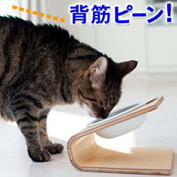 【犬 猫 食器台】傾斜のある食器台（Sサイズ）（ 犬用 猫用 食器台 フードボウルスタンド 食器スタンド スタンド テーブル 食器 餌入れ 老犬 老猫 シニア 高齢犬 高齢猫 首 腰 関節 パピー 小型犬 いぬ ねこ 木製 国産 北欧 獣医 コーギー ダックス ヘルニア Keat キート ）