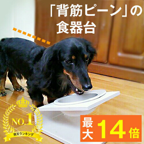 【最大P14倍】（犬 猫 食器台）傾斜のある食器台（Sサイズ）（ 犬用 猫用 高級 国産 フードボウルスタンド 食器スタンド テーブル 食器 餌入れ 老犬 老猫 シニア 高齢犬 高齢猫 首 腰 関節 健康 パピー 小型犬 いぬ ねこ 北欧 獣医 コーギー ダックス ヘルニア ）