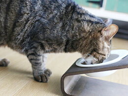 【犬猫フードボウル】エッグフードボウル無地(白ホワイト/黒ブラック)(ペットフードボール餌入れ餌エサ水飲み器給水器食器食器台皿さら犬用食器猫用食器超小型犬小型犬犬用猫用首腰関節愛犬愛猫老犬老猫パピー高さ獣医)