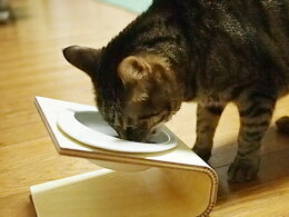 【猫フードボウル】ぺったんエッグフードボウル「にゃーくるりんミケ」(ペットフードボール餌入れ餌エサ水飲み器給水器食器食器台皿さら猫用食器猫用首腰関節愛猫老猫パピー高さ獣医)