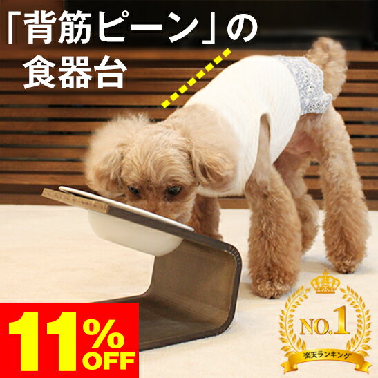 ★11％OFF★スーパーセール限定★リビングに合うオシャレ感★楽天1位★健康を考えたデザイン・傾斜のある食器台 (S、L) 正規品・高級【 犬 猫 ペット 食器台 】かわいい 食べやすい こぼれない 高さ調節 持ち運び おしゃれ スタンド 食器 皿 フードボウル 餌入 フード エサ