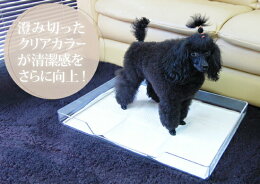 【犬トイレ】クリアレットトレー&シーツストッパーセットトイレ用品トイレトレートイレシートペットシーツ犬のトイレ用品犬のトイレ犬用トイレトイレタリー全国送料無料いぬイヌ犬室内犬オーエフティーO.F.T