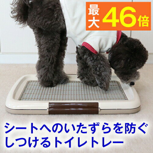 【最大P46倍】（犬用 トイレ）しつけるトイレトレー メッシュプラスS（48cm×35cm） いたずら防止 メッシュ付き トイレ シート の 交換 が 楽（ ペット 用品 しつけ 躾 トレーニング イタズラ シーツ パピー シニア 子犬 成犬 老犬 高齢 小型犬 トイプードル チワワ ）